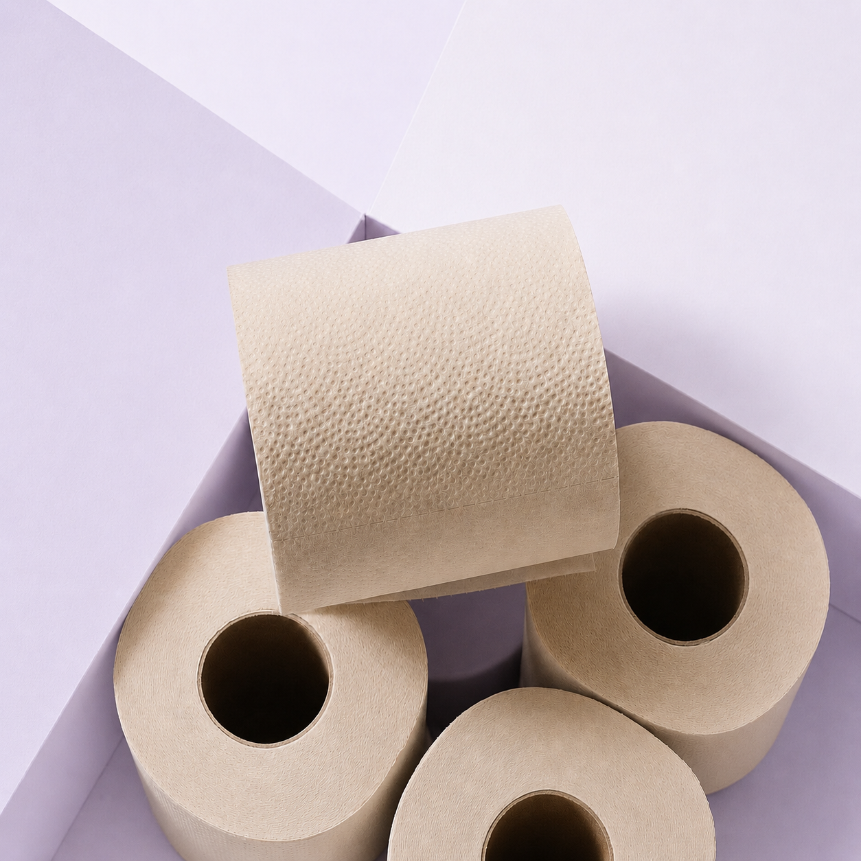 Unbleached Bamboo Toilet Paper